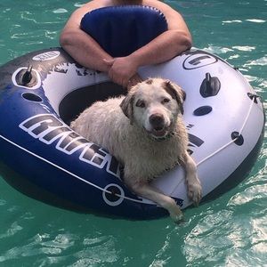 Meet your Posher, Mason